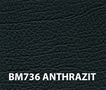 BMW Long Grain Leather